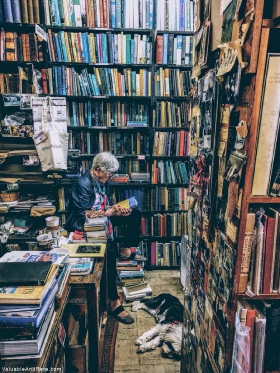 If you only read the books that everyone else is reading, you can only think what everyone else is thinking.

—Haruki Murakami