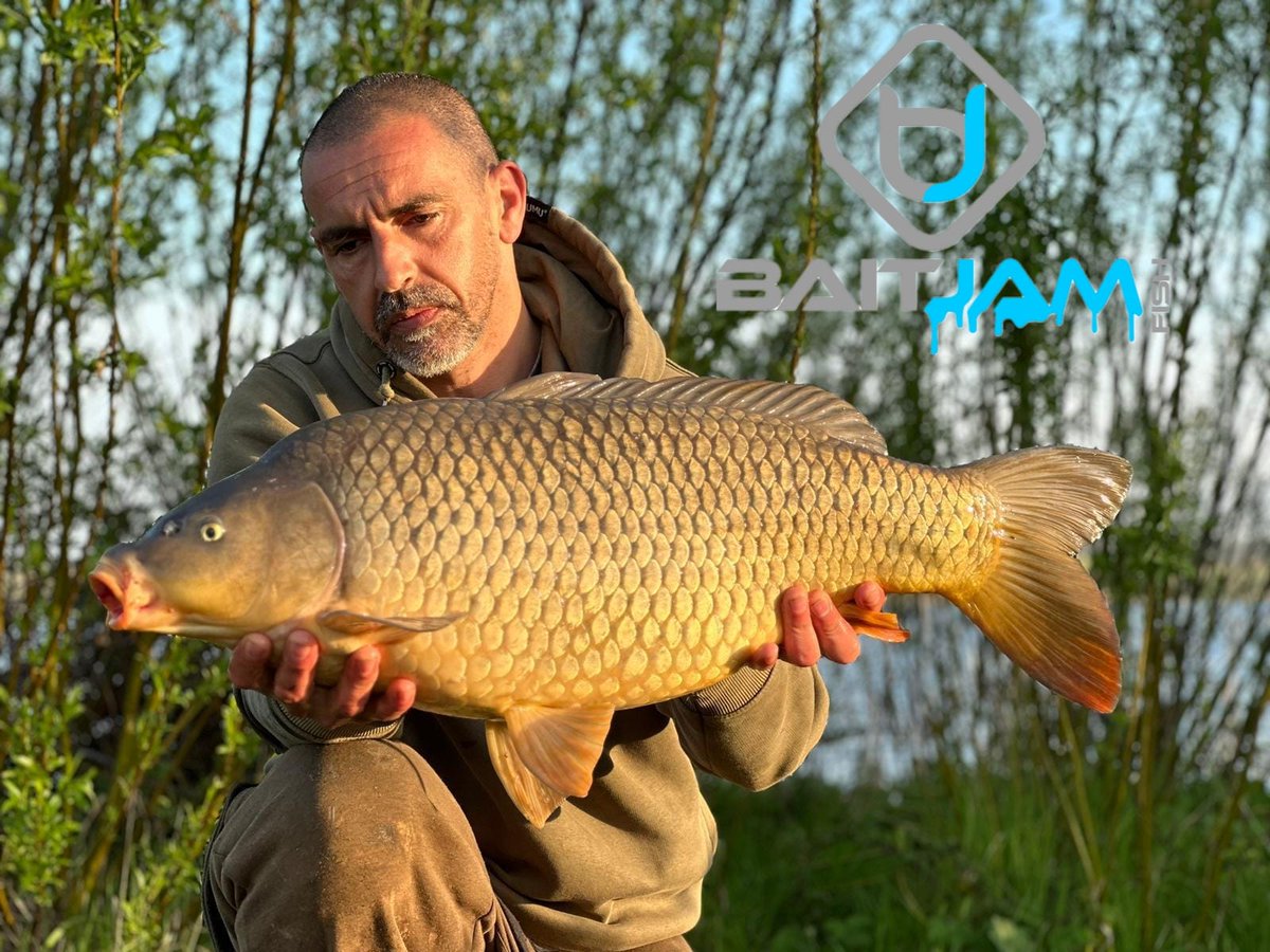 A lovely trio of commons for Sal using a Berry Bite Fluoro Pop Up within a PVA bag of pellet 🐠

shop: baitjam.fish/product/fluoro…

#baitjam #teambaitjam #fluoropopups #berrybite #PVAbags #carp #angling #fishing