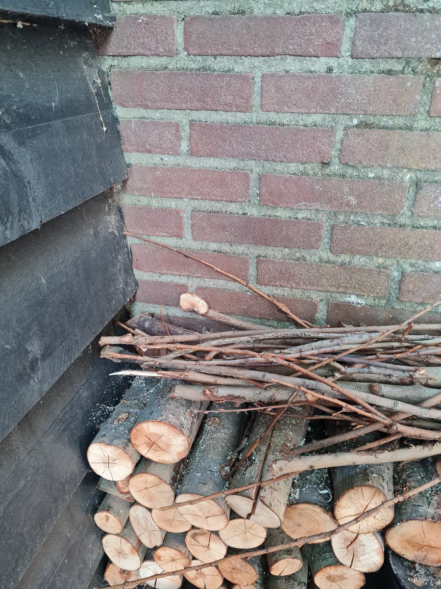 AnitaPeeters's tweet photo. Mijn #achtertuin compleet met #insectenhotel in wording hij is bijna helemaal gevuld nu! De resterende ruimtes wil ik opvullen met dennenappels maar ik vind hem nu al #supermooi #puurnatuur #floraenfauna #insecten #helpdenatuur een handje mee! ❤️ https://t.co/WGcnA4mAjX