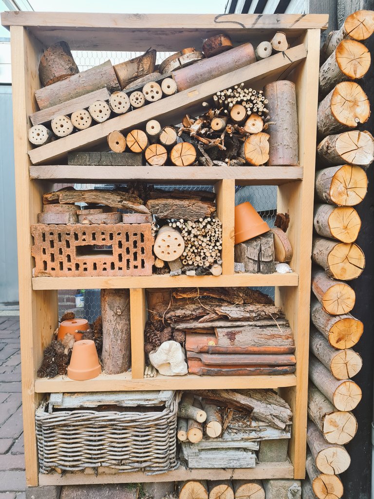 AnitaPeeters's tweet photo. Mijn #achtertuin compleet met #insectenhotel in wording hij is bijna helemaal gevuld nu! De resterende ruimtes wil ik opvullen met dennenappels maar ik vind hem nu al #supermooi #puurnatuur #floraenfauna #insecten #helpdenatuur een handje mee! ❤️ https://t.co/WGcnA4mAjX