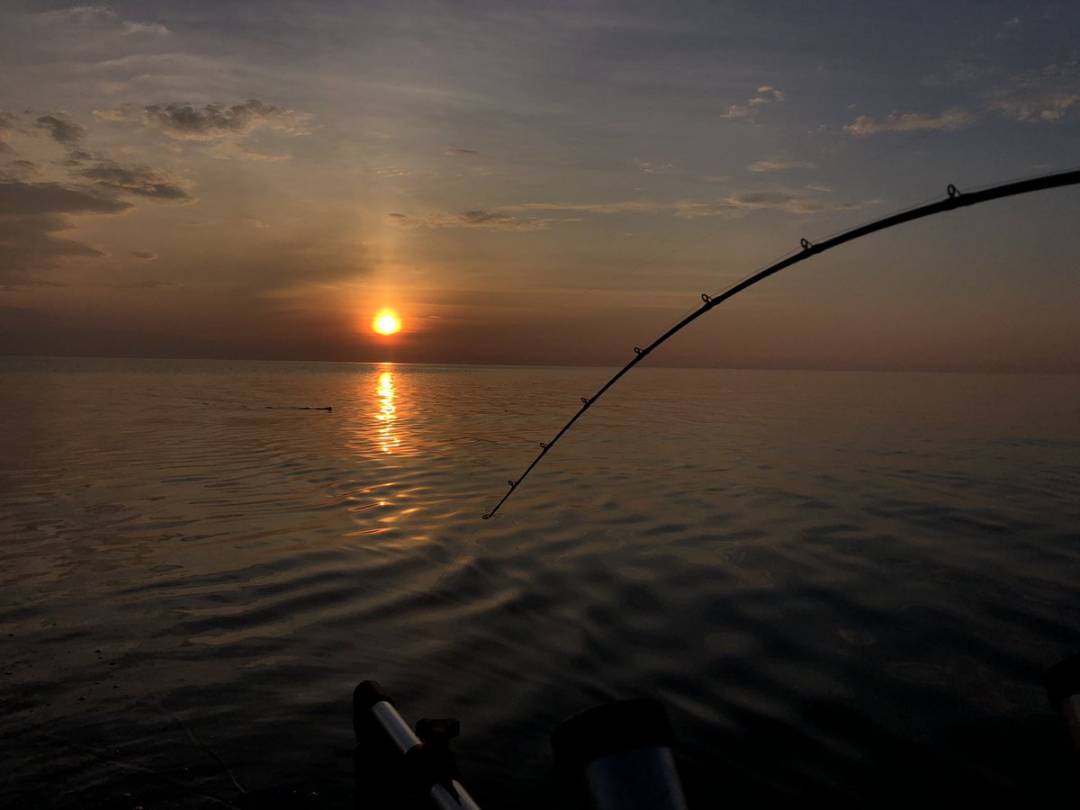ReelColdFront's tweet image. Lake Ontario excursions available @FishingDawson #majorimpactangling #experiencelakeontario
#toronto
#ontario