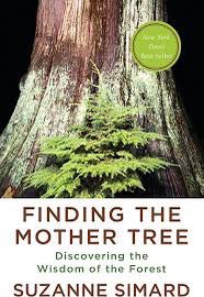 10/10 A must read for all indigenous people who understand that indigenous wisdom is continually being affirmed. As for me, my respect for nature and my understanding of how I belong has been increased tenfold