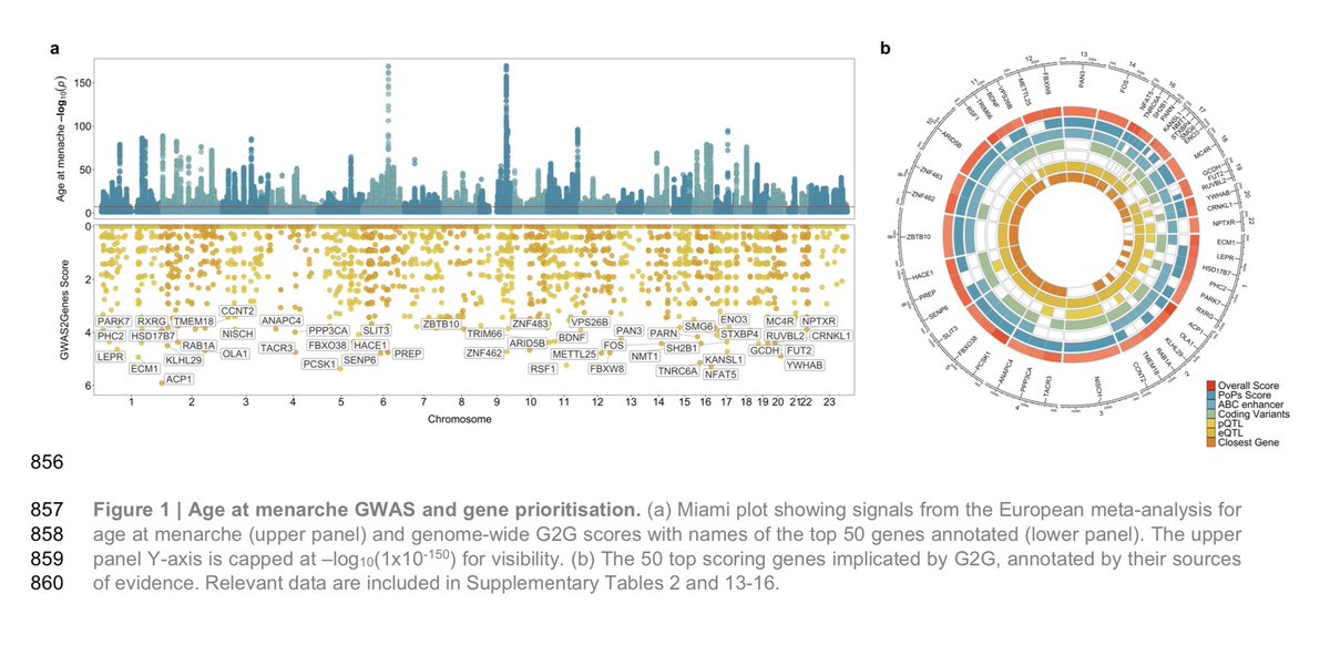 Understanding the genetic complexity of puberty timing across the allele frequency spectrum medrxiv.org/content/10.110…