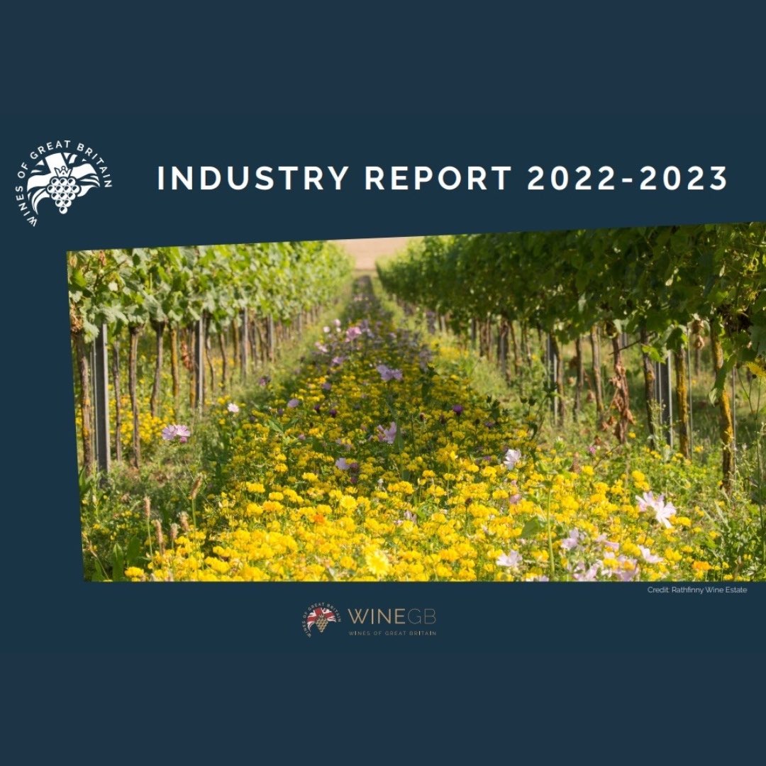 WineGB Releases its 2023 Industry Report
…continues at liz-palmer.com
 
#WineGB #Vineyards #EnglishWines #EnglishWineWeek #EnglishWineWeek2023 #sparklingwine #whitewine #winelovers #wine #winenews #winereport #winetrends
#winetourism #tourism #winery #winetasting