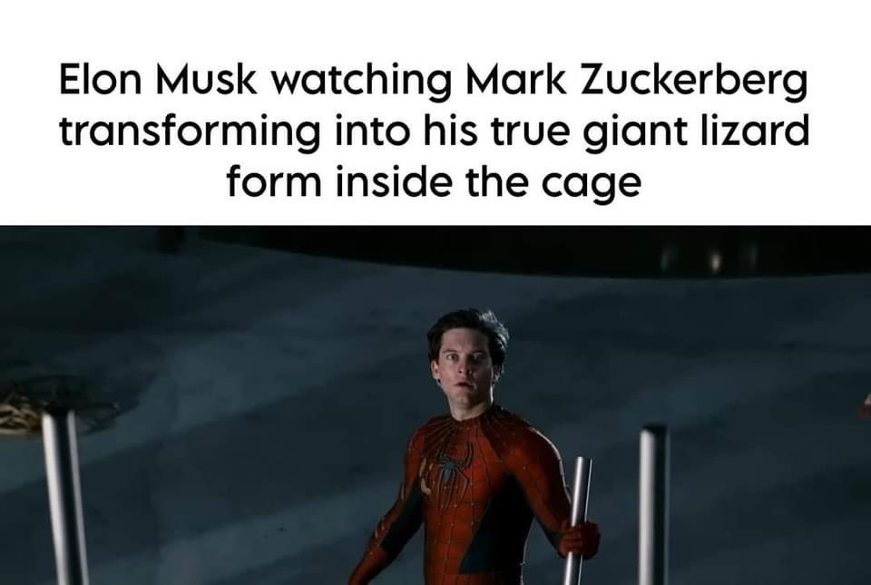 Marvel Memes (@marvei_memes) on Twitter photo 