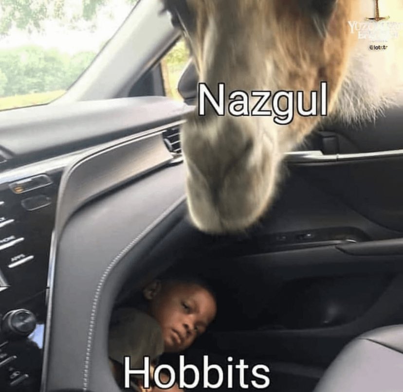 Grond (@friendlygrond) on Twitter photo 