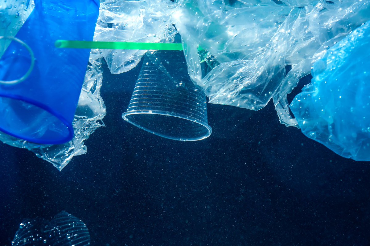 Plymouth Marine Lab tweet media