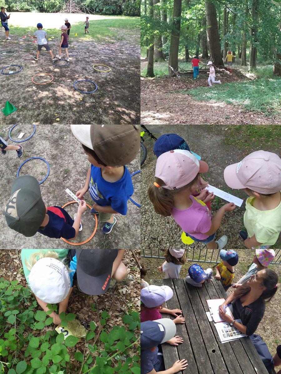 Circo_L_AIGLE's tweet photo. Dernière rencontre de course d'orientation au Bois de la Pierre avec les eleves de MS GS CP de Moulins la Marche. Une belle participation ! https://t.co/7Bagz3a049