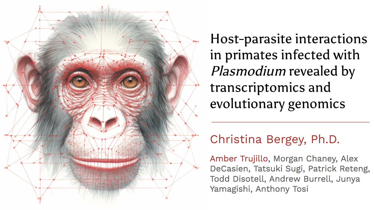 Had a blast at #Evol2023, and it was great to present the work led by (Albuquerque's own!) <a href="/ambrquerquetrky/">Amber</a> on malaria in primates.

Also I like being around like-minded people who think field clothes count as business casual if the shirt has a collar.