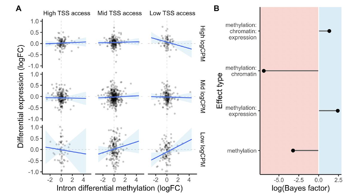 granogan's tweet photo. 🥳New paper🥳 Changes in DNA methylation across environments are often uncorrelated w/ expression in animals  

We find that differential methylation's effect on expression depends on chromatin accessibility during plastic responses to ecological stress: https://t.co/6m9oR0VQkD https://t.co/LEP0EBo6gh