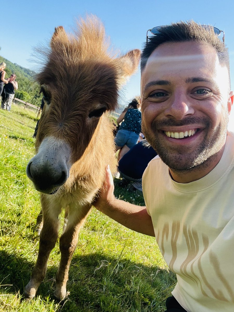 lloyd morris tweet media