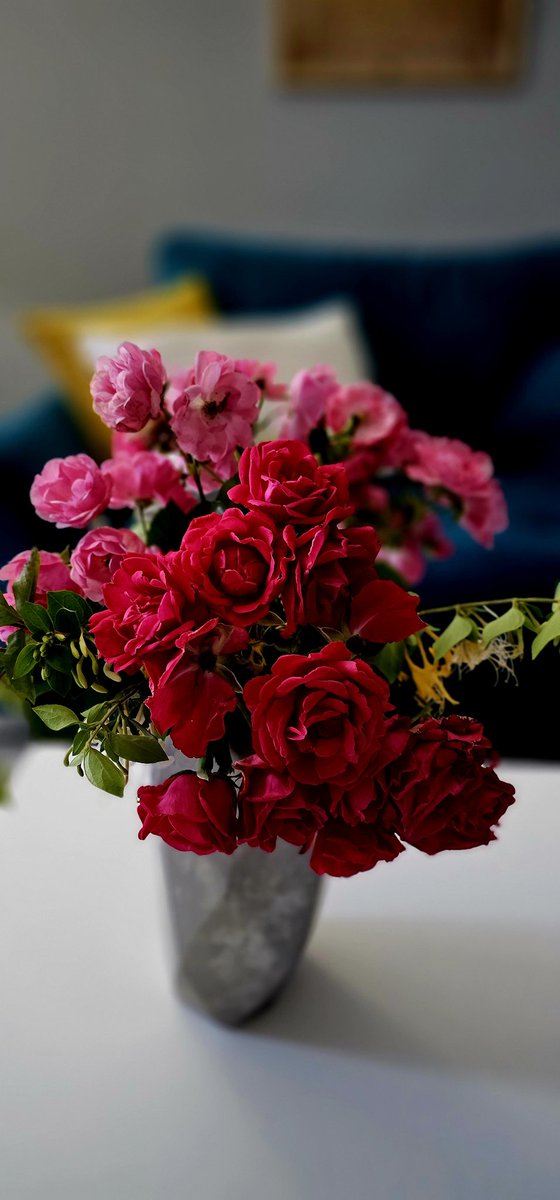 Just brought this in. Colour your life and find beauty even in the small things!
#lifestyle #beauty #amazingyouchannel