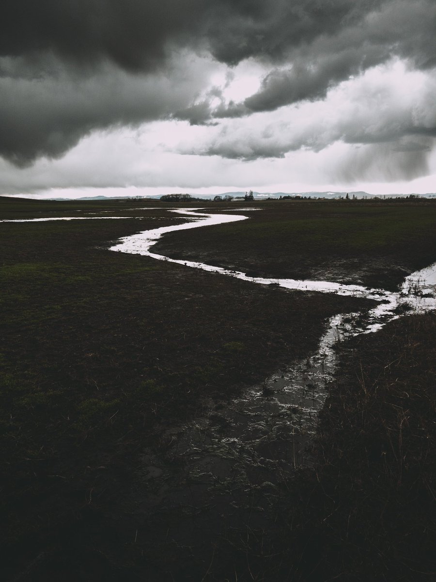 MattDillonPhoto's tweet photo. Same general area as the other photos I've been posting, just about a month prior. About a minute after this we were hit with a nasty hail storm that prevented us from getting some shot of a couple bald eagles weathering the storm in a tree on the other side of the road. https://t.co/jaCZJ487El