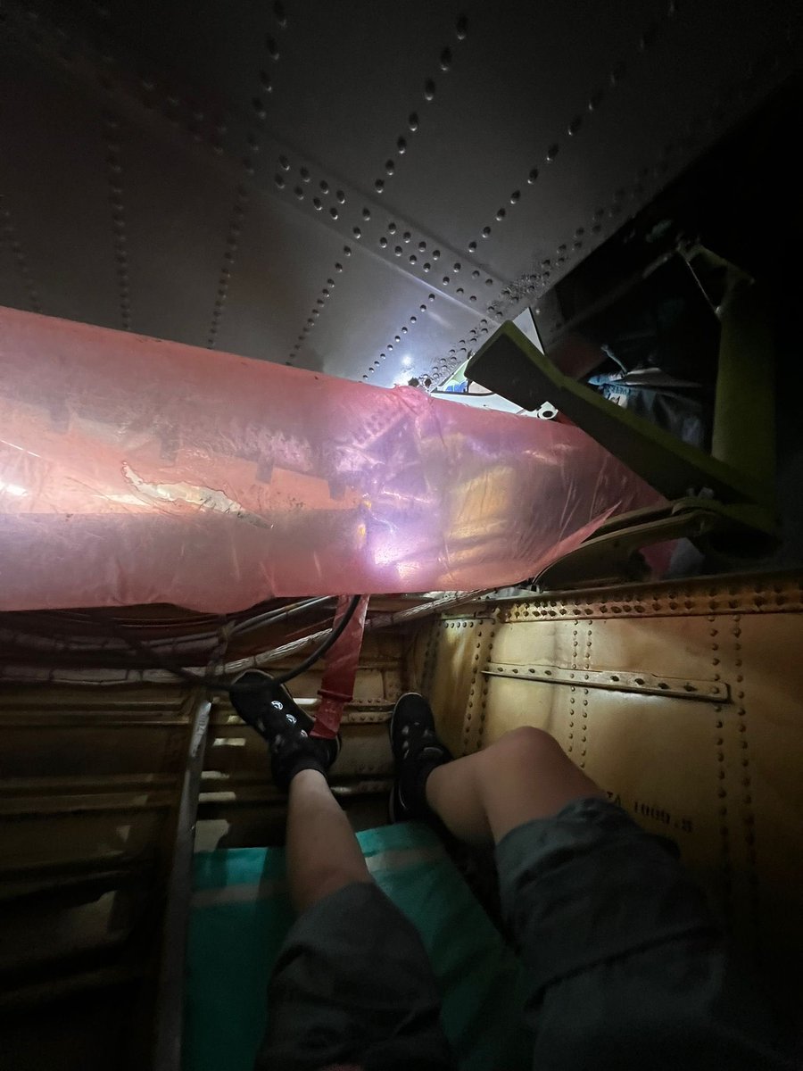 Sunset Chicken tweet media