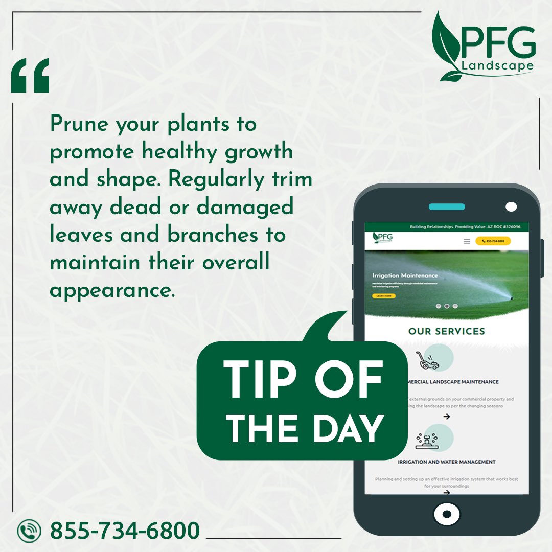 Pruning is an essential part of keeping your plants in the best shape! If you want to keep your plants healthy, remember to prune them at least once a week! 

peterferrandinogroup.com

#PFGlandscape #landscapingservices #pruningtrees #treecare