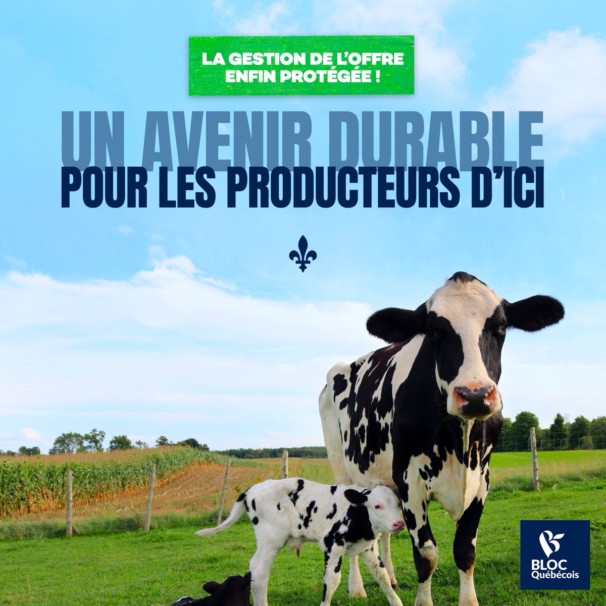 Parce que nos producteurs agricoles travaillent fort et pour qu’ils puissent continuer à si bien nous nourrir, nous avons poussé sans relâche pour protéger la gestion de l’offre. L’agriculture au #Québec, on en mange! Vous aussi? 👉Cliquez ici : blocqc.typeform.com/gestiondeloffre #polQc