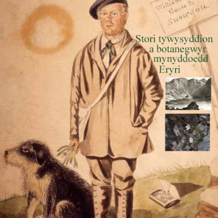 Cwmni Pendraw 🏴󠁧󠁢󠁷󠁬󠁳󠁿 tweet media