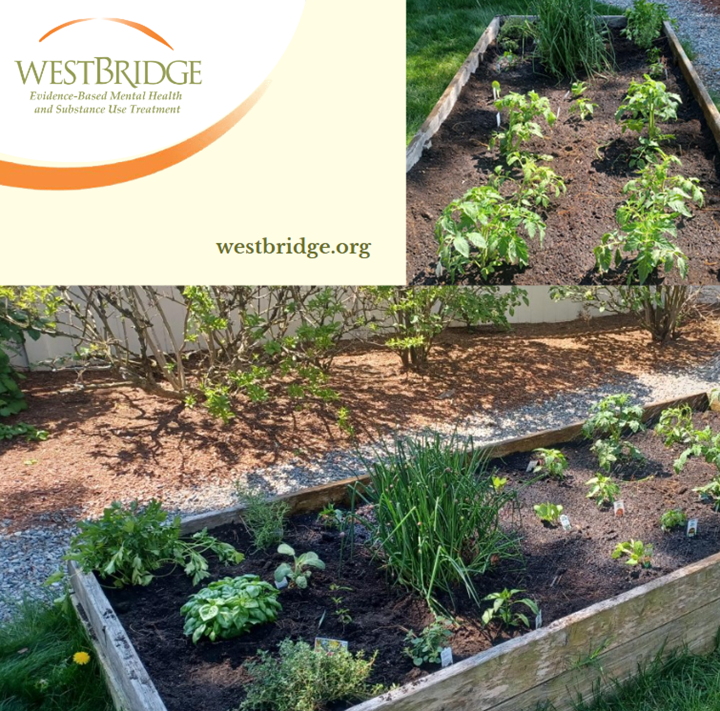 WestBridge tweet media