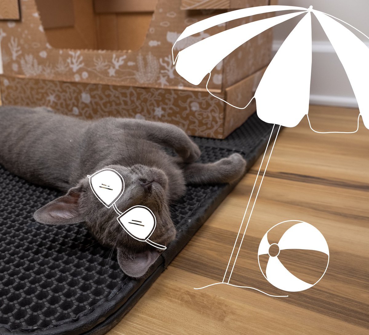 Kitty Poo Club tweet media