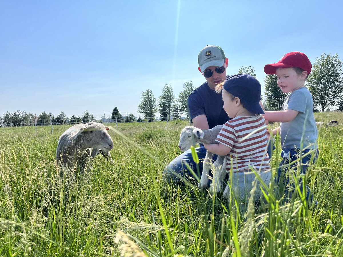 CedarGroveFarm's tweet photo. Nothing better than checking new lambs and moving the flock with our #DEKALBLittleHelper’s 😀 https://t.co/tbrw6JUKvd