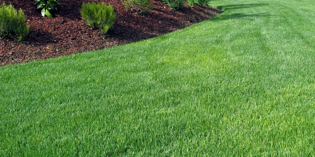 samsturfcare's tweet photo. Zap more life into your lawn!

Give your lawn a boost with our #lawnfertilization service. Our 7-step program is designed to protect the health of your grass and provide it with vital nutrients!

Contact us today! (816) 408-6853
https://t.co/mfEWenBGih https://t.co/u2lEiWlNaR
