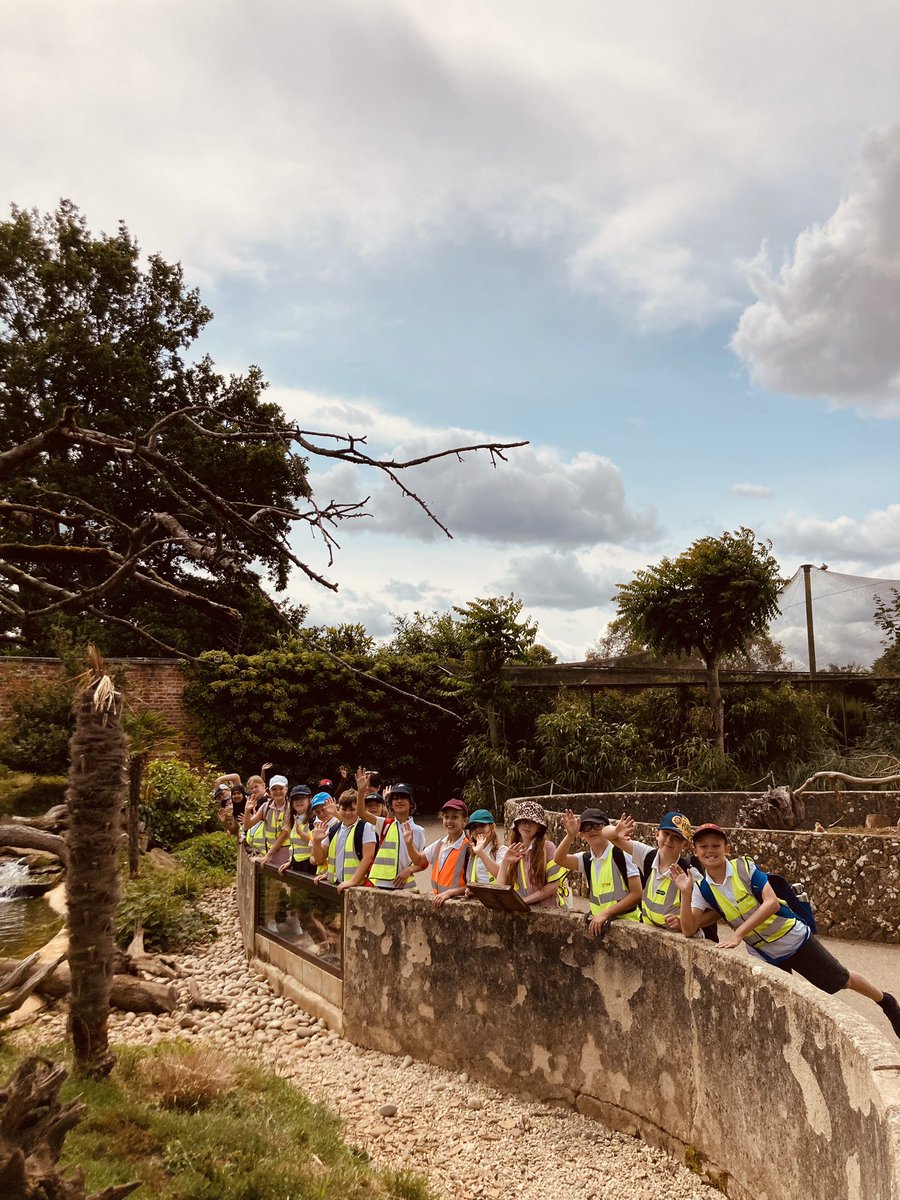 StEds_Primary's tweet photo. Year 5 had the best day at @CotsWildTweets today! So many Amazonian species spotted, a fantastic rainforest workshop and not to mention exciting train ride…! #StEds #StEdsGeography https://t.co/OlrKl6CGp3
