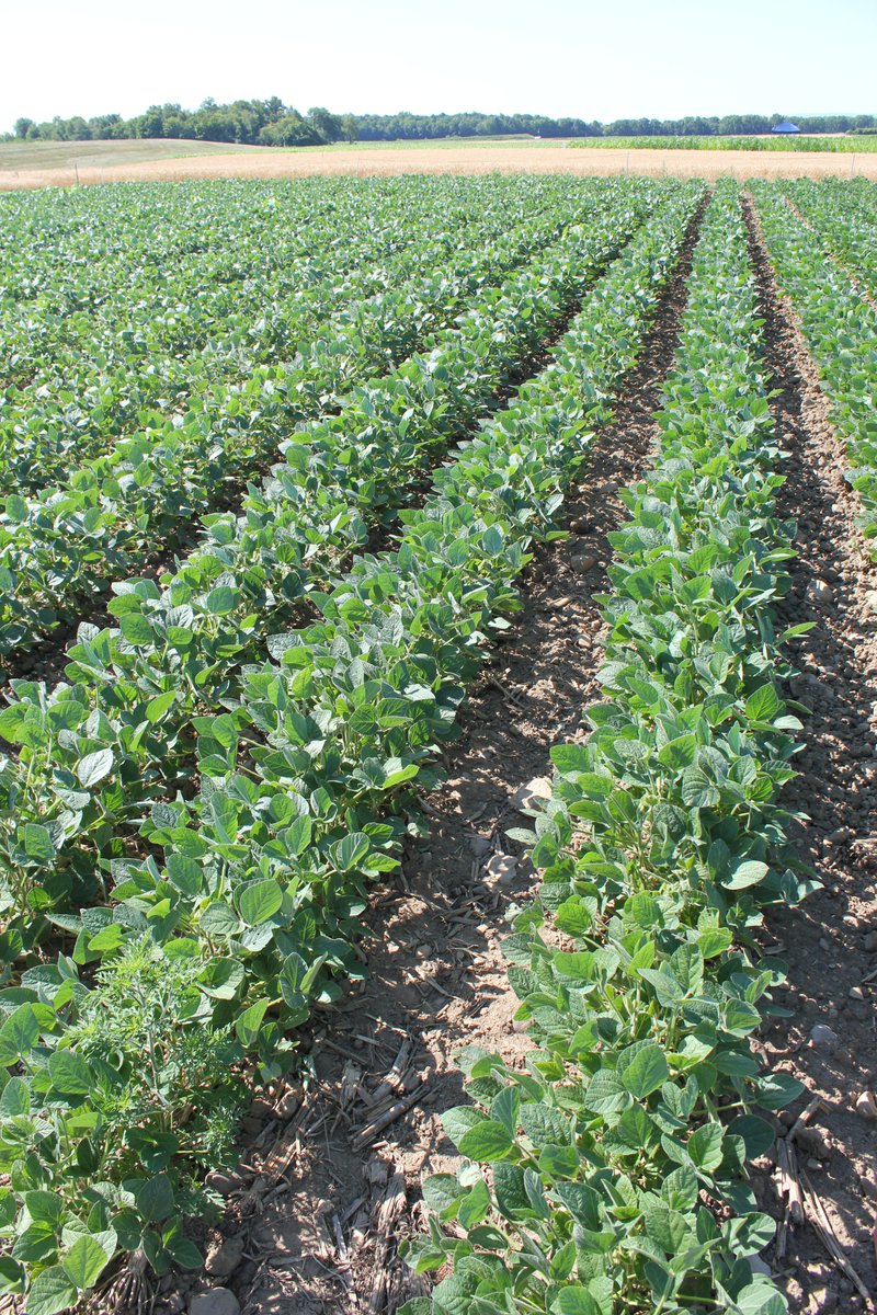 Nutrient Management Spear Program (NMSP) tweet media