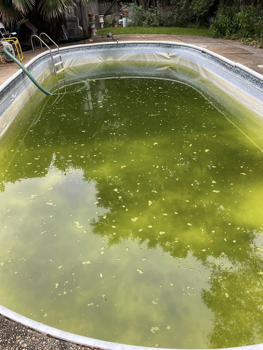 TaraPoolLife's tweet image. Wow! 😱 This transformation goes from drab to fab! 😏 Our Cascade Creek liner and Southern Pool Service made this oval pool look new. We love how this liner pattern mimics the decking around the pool and perfectly fits the feel of this backyard.

#cascadecreek #tarapools