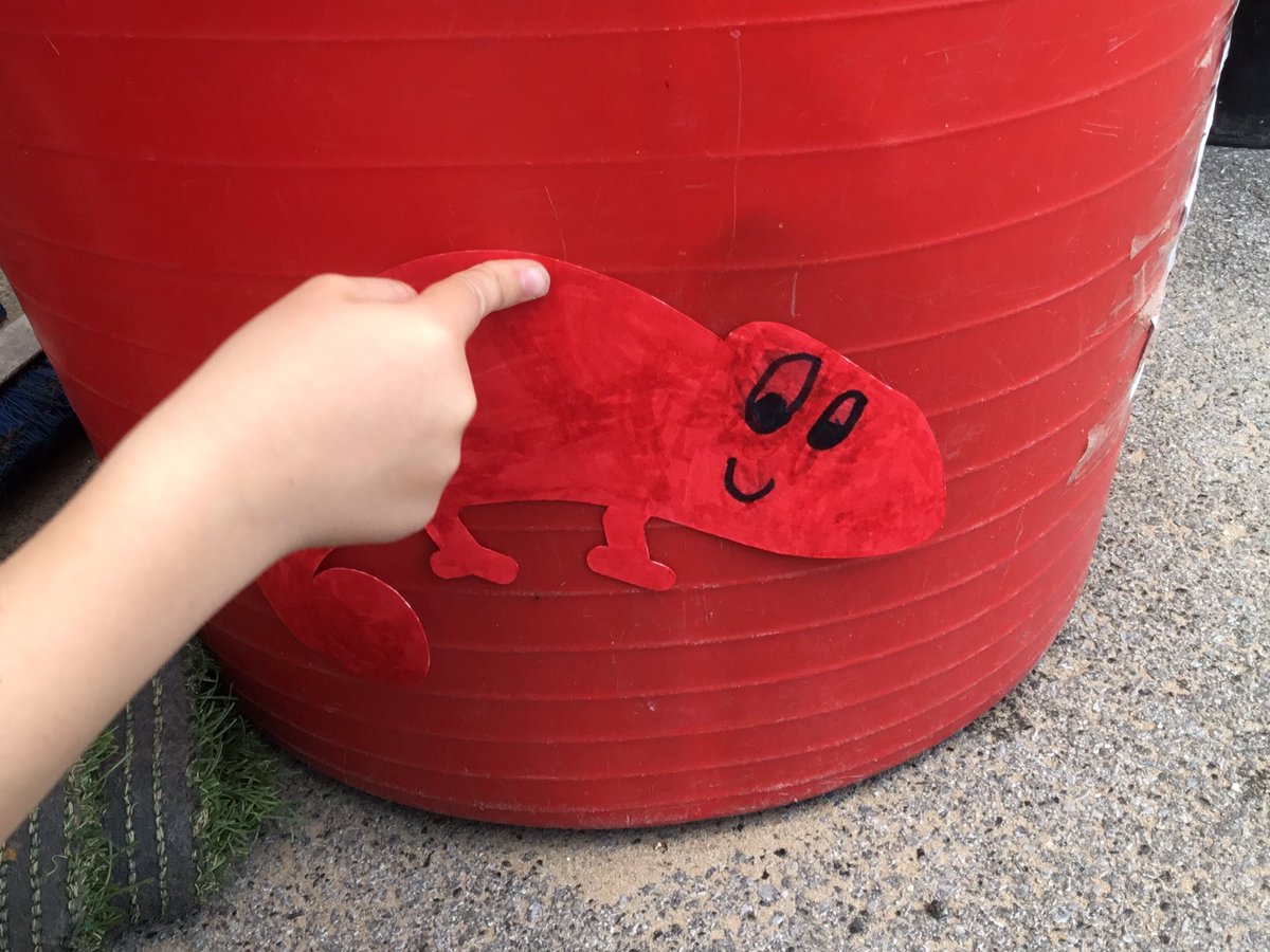 Lord Deramore's tweet media