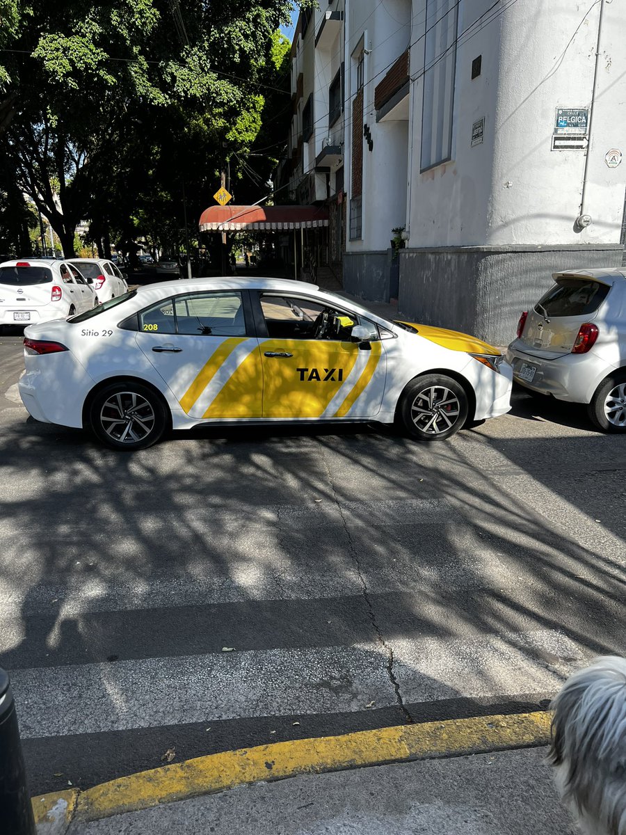 joanmunoz's tweet photo. @Trafico_ZMG taxista estorbando la zona peatonal. Esquina Libertad y Bélgica https://t.co/oWO7ZaYHUr