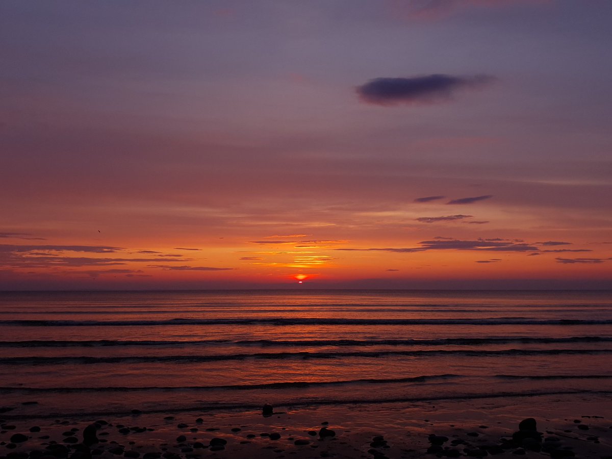 s a m 🌈 tweet media