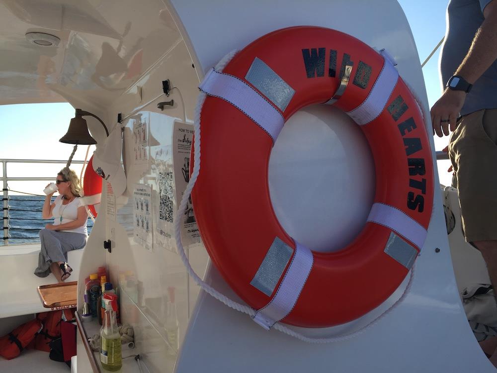 We want to hear about your #SailWildHearts experience! Feel free to leave us a review on Facebook or Yelp!