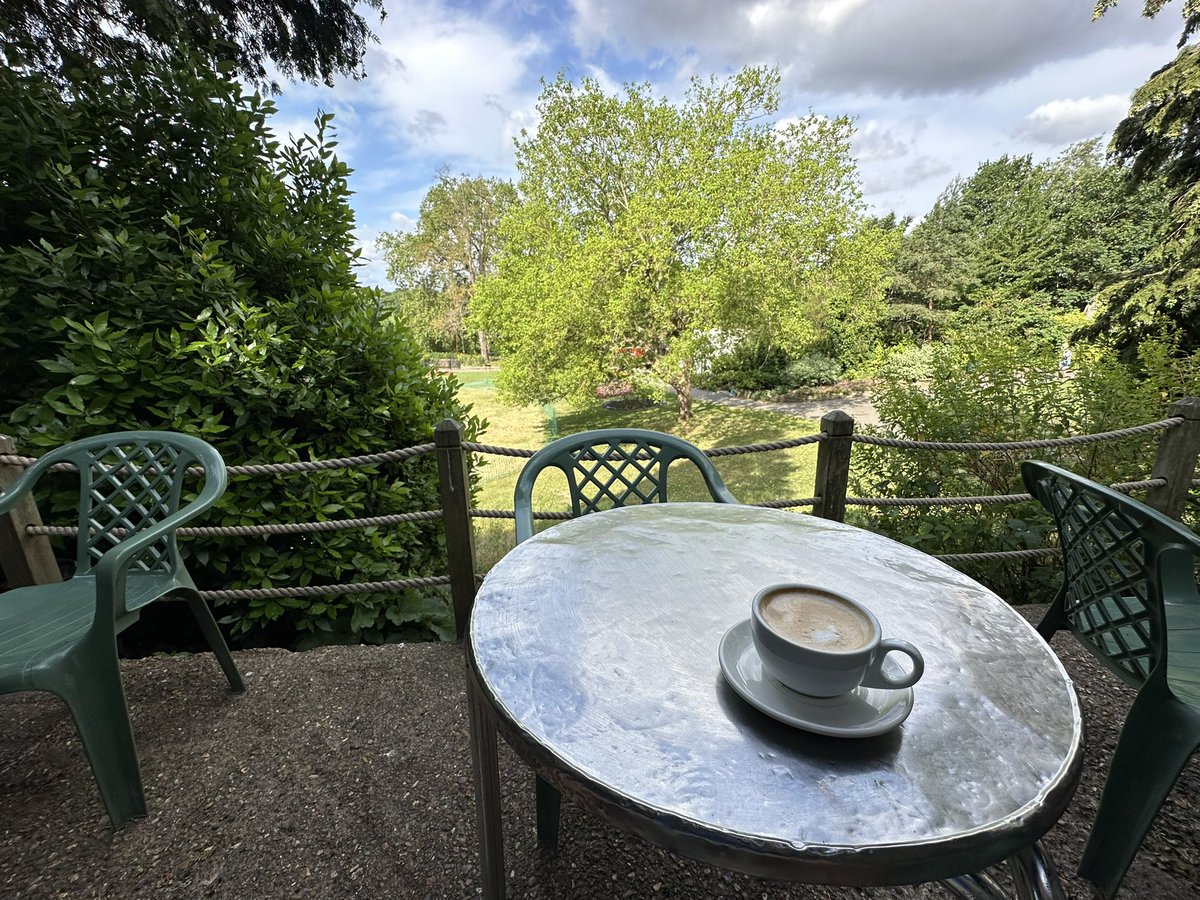 Chuck Gollop tweet media