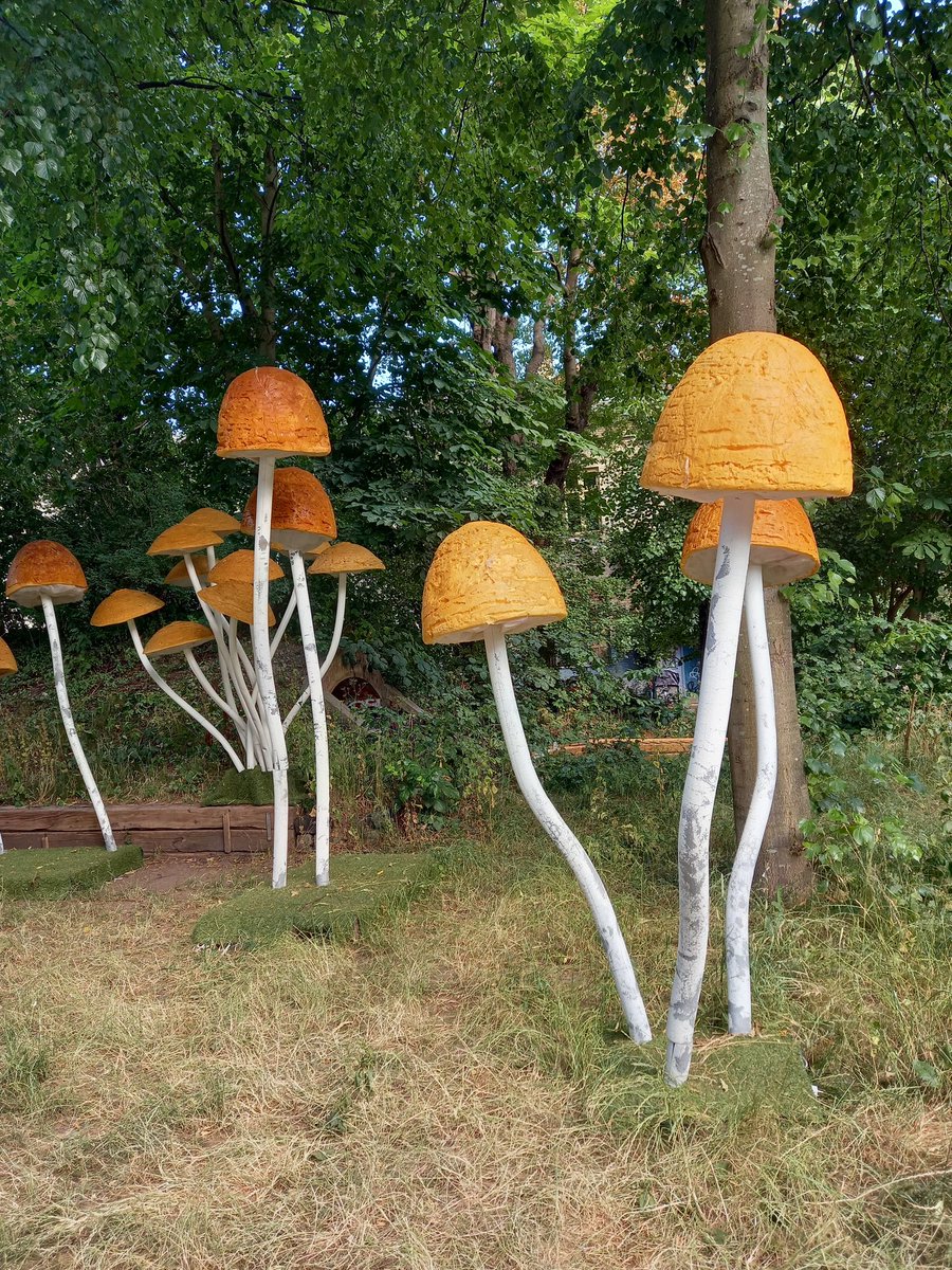 Interesting art installation in Christiania, Denmark 🍄 

#Fungi #FungalArt #Christiania #Mycology