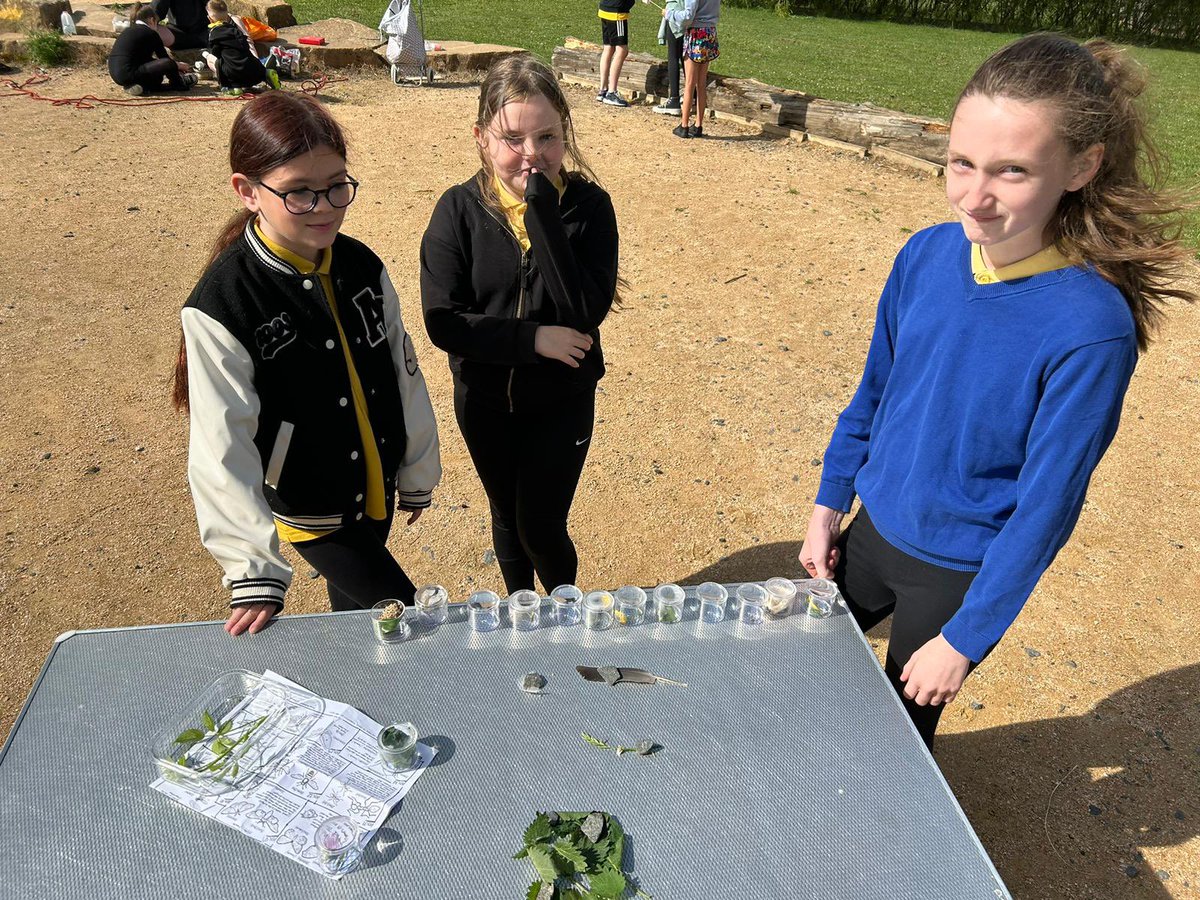 EAC Home Link Team tweet media