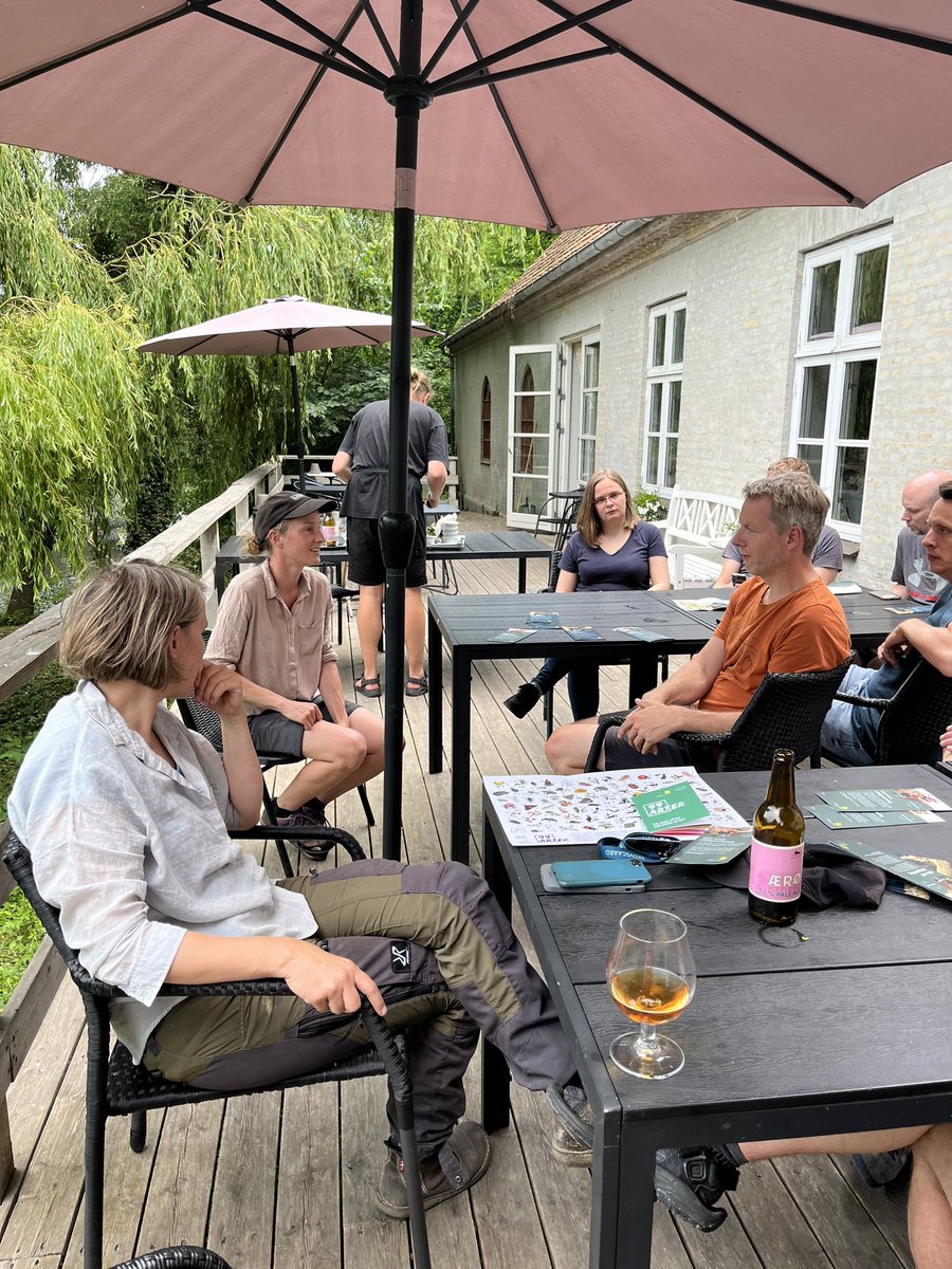 Great retreat with @AU_Biodiversity visiting some cool rewilding projects in Dk. Thanks to #naturdestinationskovsgård, @Tora_F_Nielsen and Catrine for introduction and thanks to @NaturThor, #saksfjedvildmark and #fugleværnsfonden for guided tour with wild horses and botany 💚
