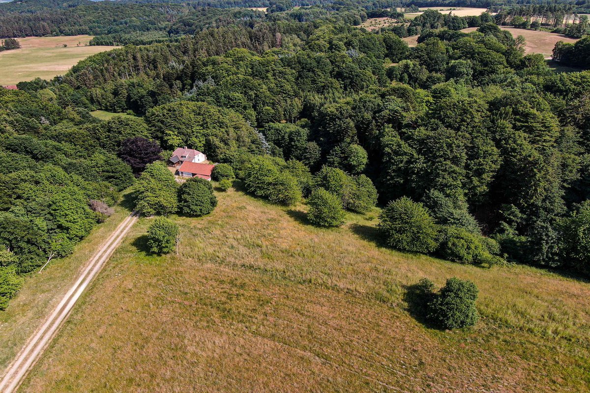 Han de man die alles kan tweet media