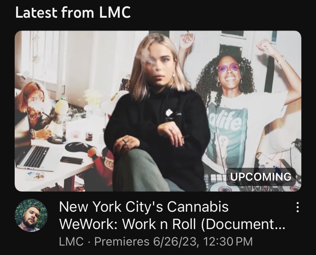 New York City's Cannabis WeWork: Work n Roll (Documentary)
youtu.be/DYeiq8O23rU