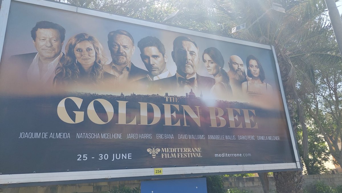 sonja mohlich tweet media