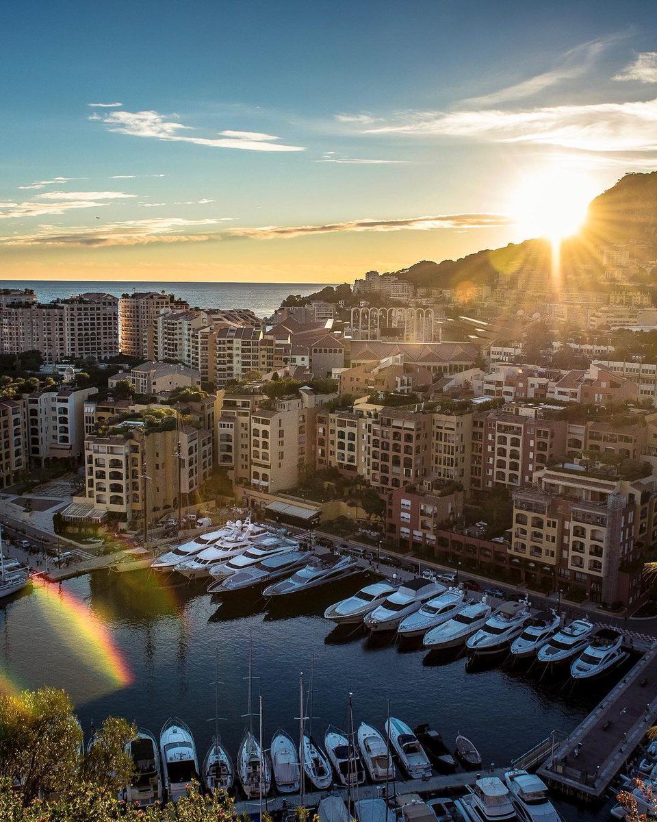 نادي موناكو tweet media