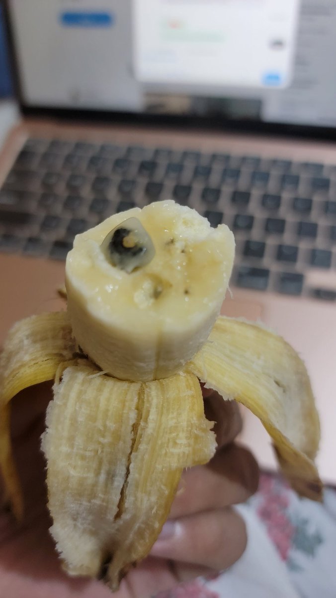 Did you know bananas have seeds?

I didn't.

No more GMO cavendish bananas for me.