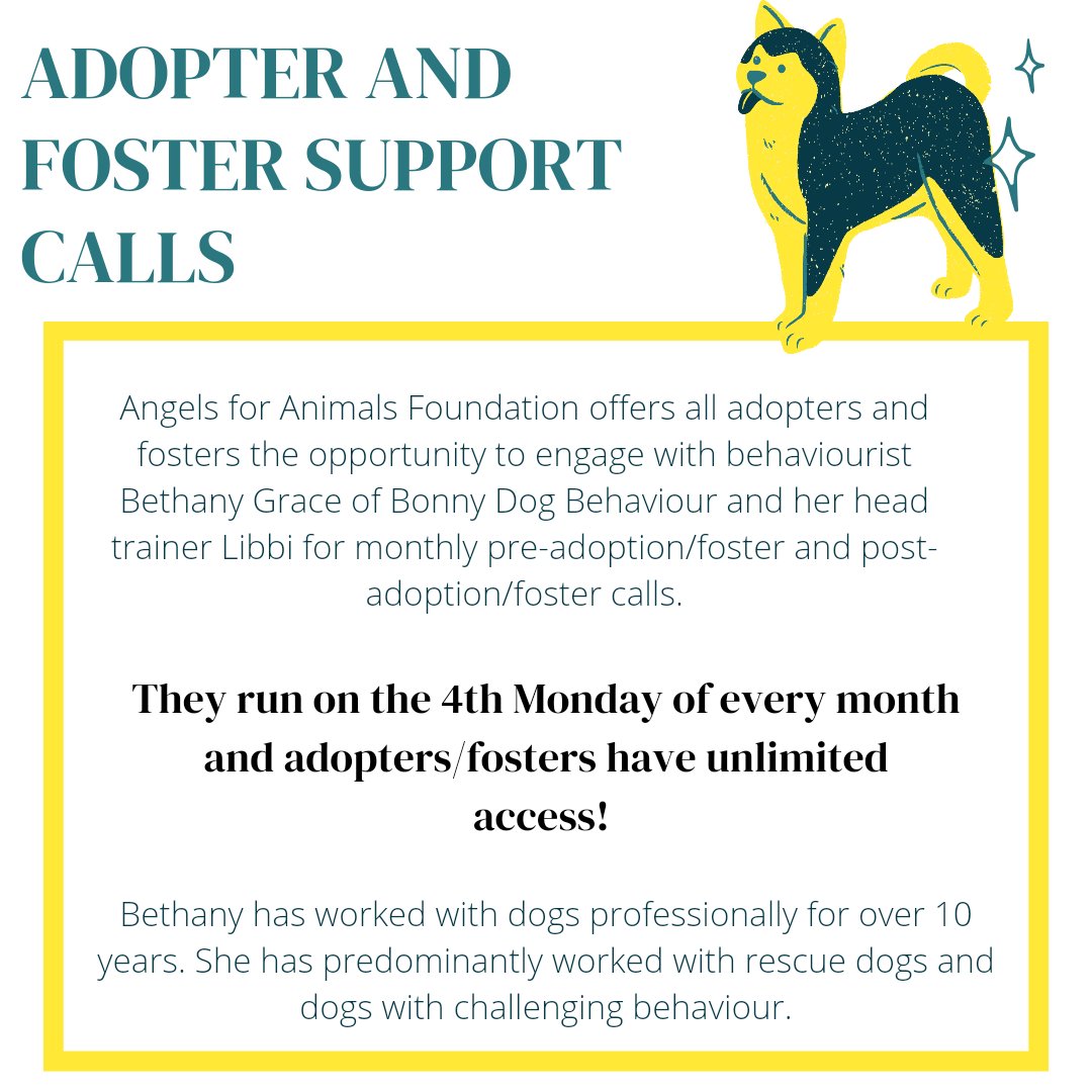 mumofrescuedogs's tweet photo. One big reason to adopt/foster from @AFAfoundation_ is the support they provide to help you succeed! Access to top behaviourist advice @UKRescueDogs @K9Hour #dogtraining #adoptadoguk #ukrescuedogs #ukdogs #ukdogadoption #dogsoftwitter #teamzay #k9hour #rehomingdogs #dogs #dog https://t.co/crZh9fWShx