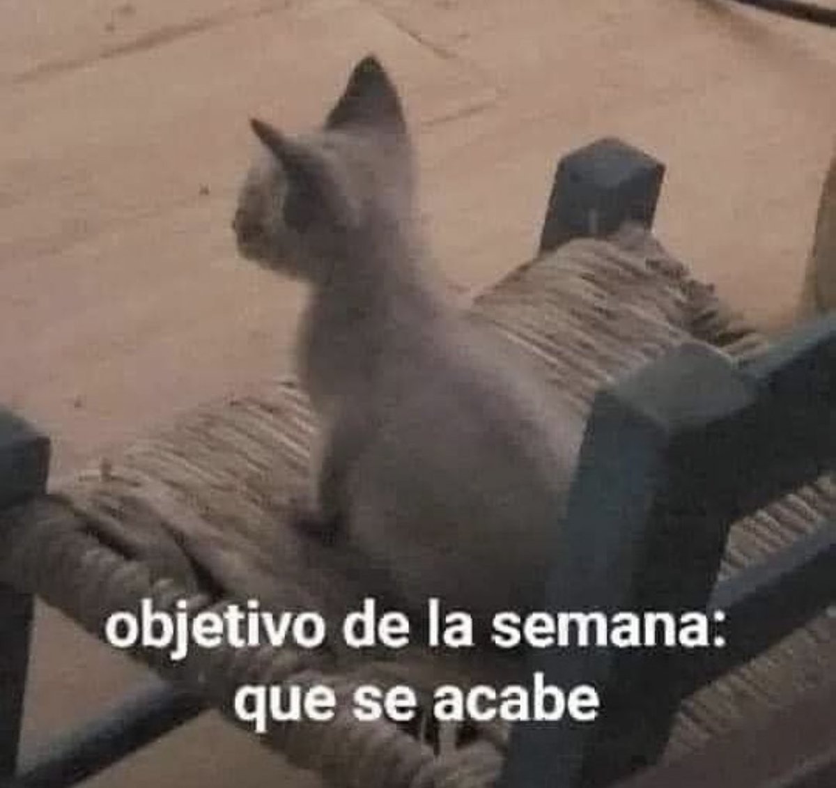 skereunpesado's tweet photo. a mimir https://t.co/oZHpGZ1xyt