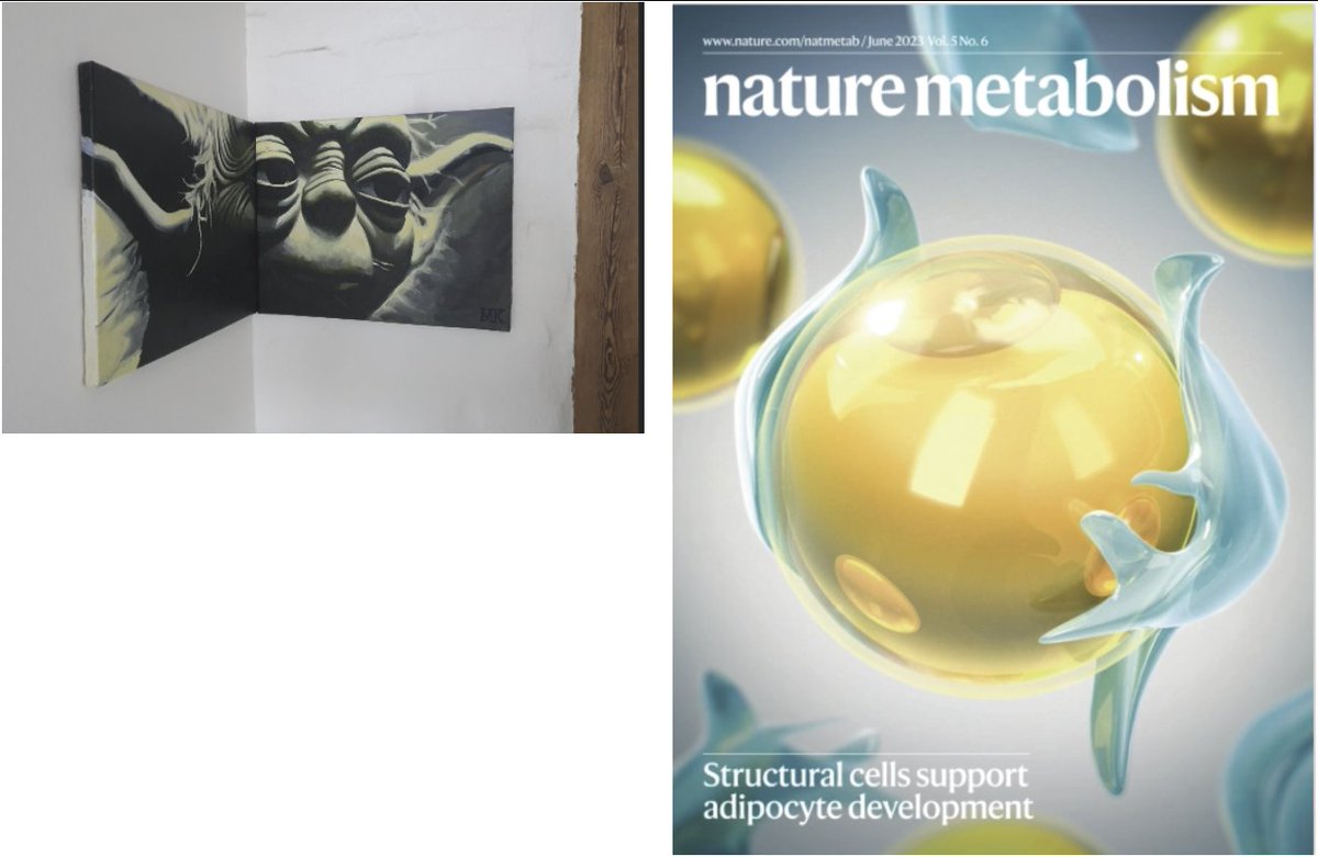 Camilla Scheele (@camillascheele) on Twitter photo A long, long time ago I brought a piece by mattiaskarlen.se with me from Stockholm to Copenhagen. 15 years later he produces the most beautiful cover on SWAT cells and adipocytes found with <a href="/soeren1974/">Soren Nielsen</a> and in parallel by <a href="/CorveraLab/">Silvia Corvera</a> A long, long time ago I brought a piece by mattiaskarlen.se with me from Stockholm to Copenhagen. 15 years later he produces the most beautiful cover on SWAT cells and adipocytes found with <a href="/soeren1974/">Soren Nielsen</a> and in parallel by <a href="/CorveraLab/">Silvia Corvera</a>