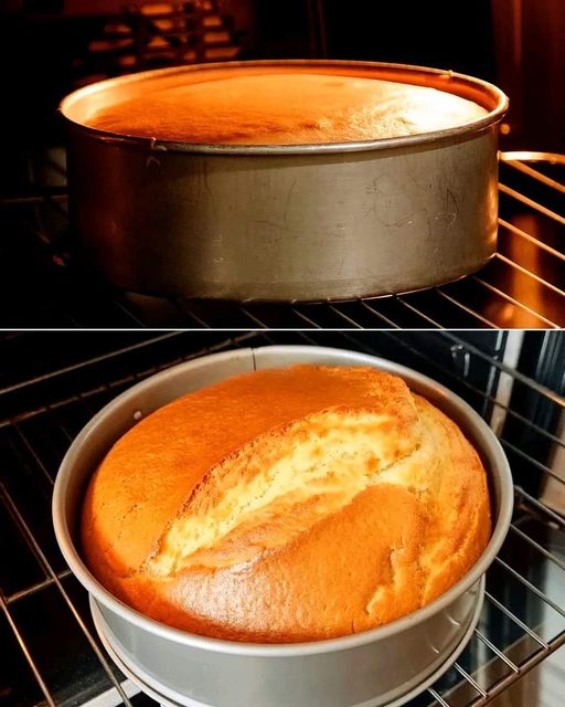SthCooking's tweet image. MANDARINE CAKE 📷
Ingredients:
1 egg
2 egg yolks
200 grams of sugar
100 grams of butter
2 tangerines
1 yogurt
250 grams of flour
1 tablespoon baking powder
2 tablespoons of icing sugar
Olive oil
#FoodStars #FoodieBeauty #recipe #recipes #Vegan #veganfood #tastyjapan