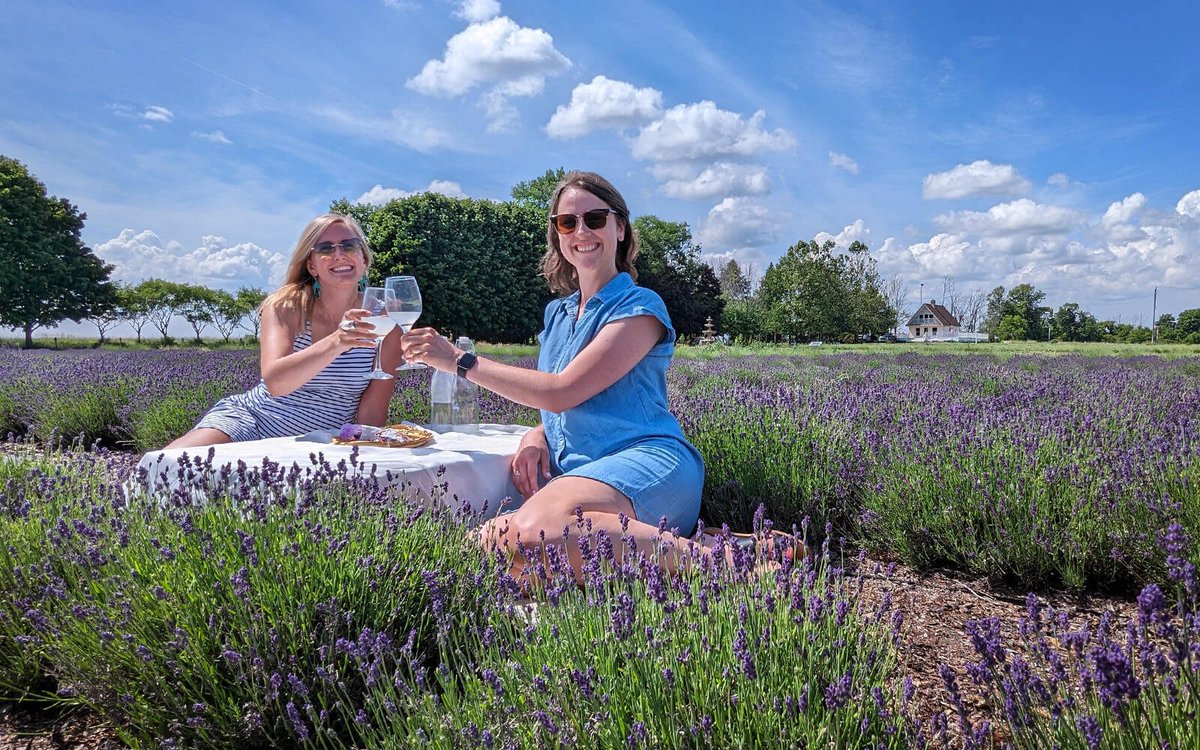 You've been notified - it's officially lavender season in #Ontario! I cannot recommend visiting Lavender Polo enough. Their VIP picnic is the perfect way to spend a summer afternoon &amp; it's good for you too! Don't believe me? Read more! 👇
yorkdurhamheadwaters.ca/how-lavender-h… [ad] #VisitYDH