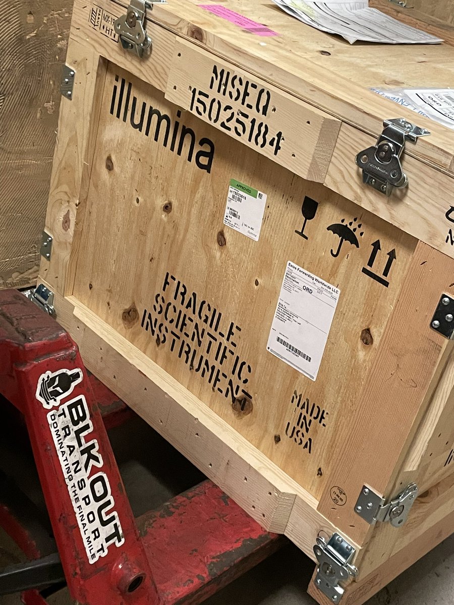 Lacy Simons tweet media