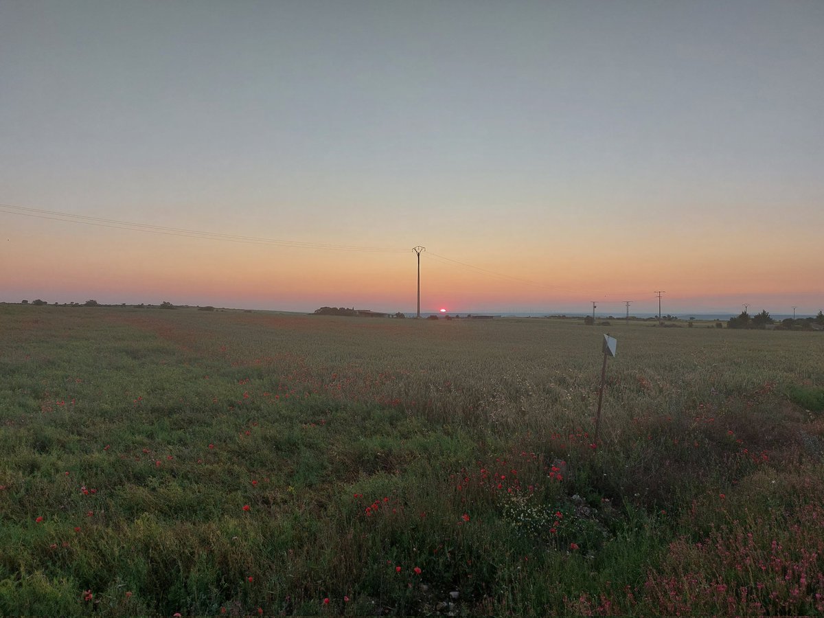 patrparajovenes's tweet photo. Esos atardeceres castellanos... #Burgos #CastillayLeón @CyLesVida #CastrillodelVal https://t.co/2YWQUE6MBe