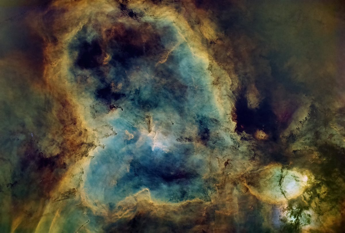 Dr. Peter NFT tweet media