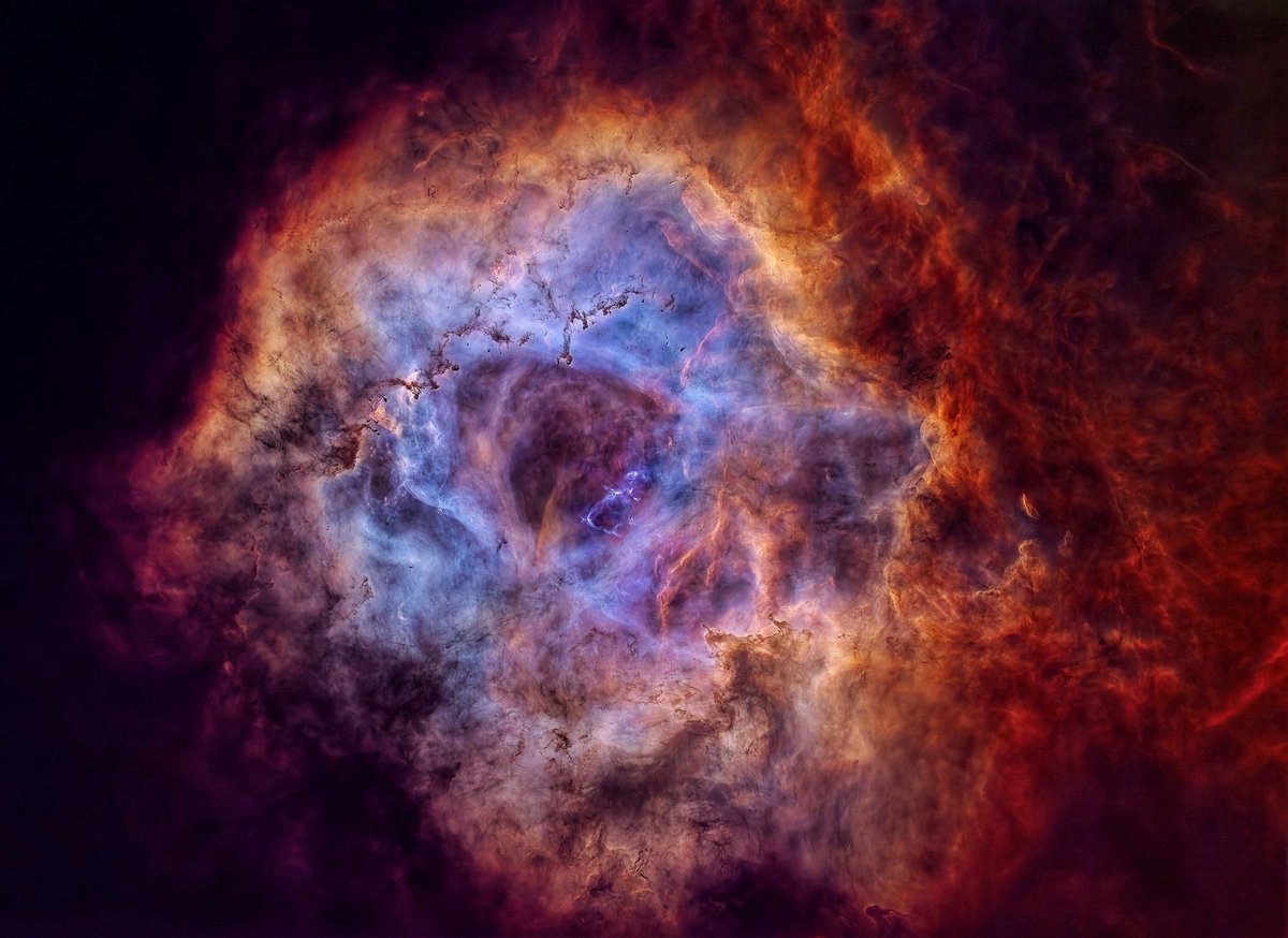 Dr. Peter NFT tweet media